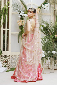 Bahar