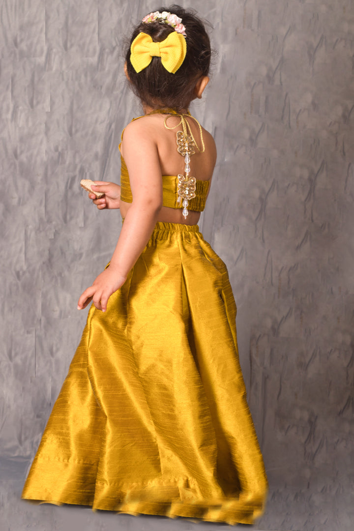OLIVE GOLD LEHENGA CHOLI