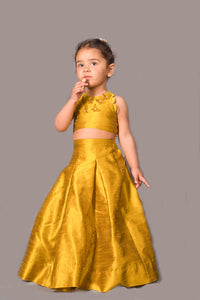 OLIVE GOLD LEHENGA CHOLI