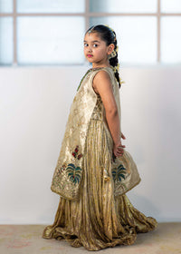 Pari Ziya