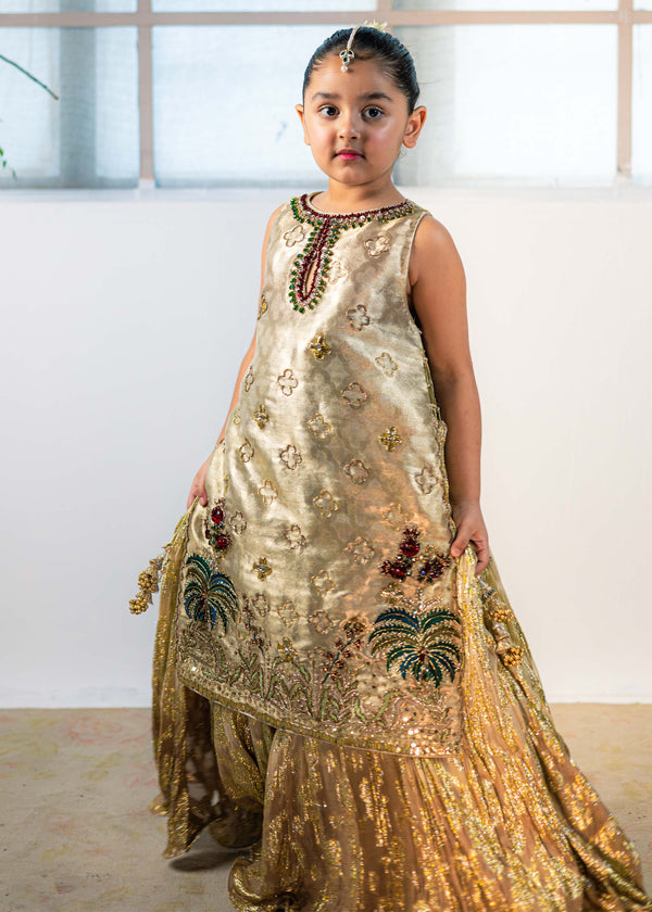 Pari Ziya